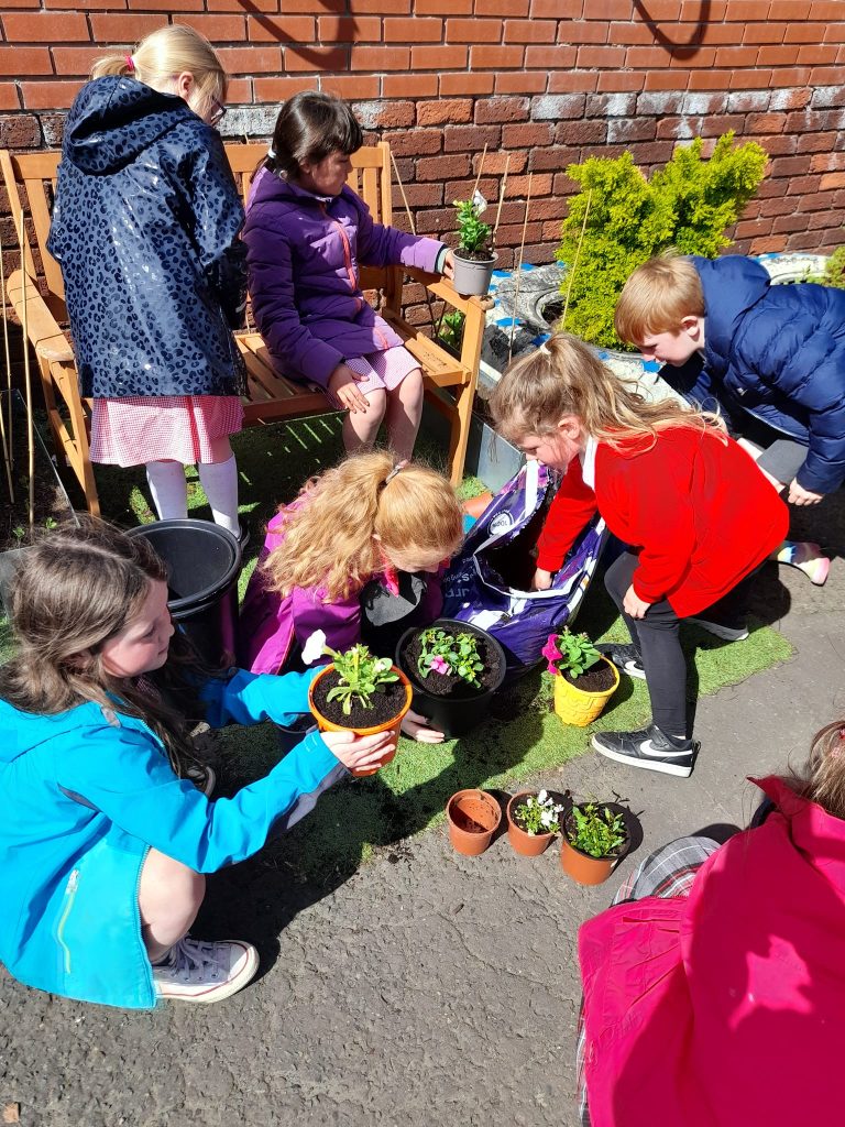 347006212_194256936862616_7162546854968422538_n